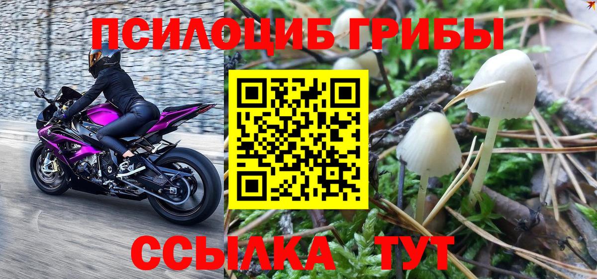 Псилоцибиновые грибы мухоморы Усть-Джегута