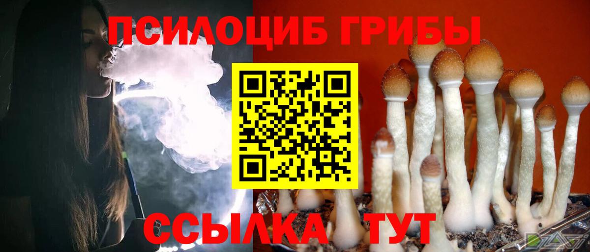 Псилоцибиновые грибы Cubensis  Вход с VPN  Усть-Джегута 